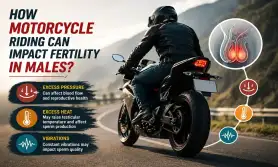 How Motorcycle Riding Can Impact Fertility in Males?