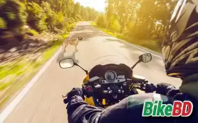 হঠাৎ বাইকের সামনে কিছু চলে আসলে যে ৫ টি ভুল কখনো করবেন না