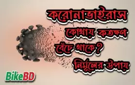 করোনাভাইরাস কোথায় কতক্ষণ বেঁচে থাকে? নির্মূলের উপায়