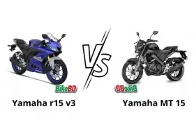 What are the differences between Yamaha R15 v3 and MT15?