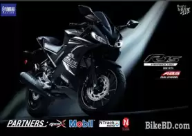 Yamaha YZF-R15 V3 Indian Version Feature Detail
