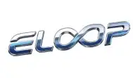 ELOOP