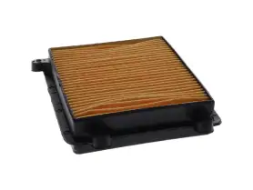 Bosch Air Filter For Hero Motors Hunk View 1