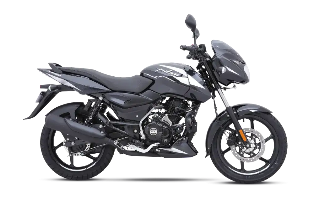 METALLIC BLACK SILVER