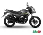 Bajaj-Pulsar-125-Pewter-Grey