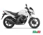 Honda-CB-Unicorn-160-Pearl-Amazing-White