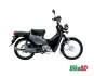 Honda Cross Cub 2017