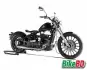 Regal Raptor Bobber Black Colour