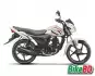 Suzuki Hayate EP White
