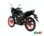TVS Raider 125 Fi WICKED BLACK