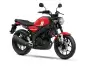 Yamaha-XSR125-Redline