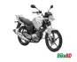 Yamaha YBR125 2012