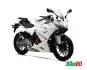 zonsen-cyclone-rc250-double-swing-arm