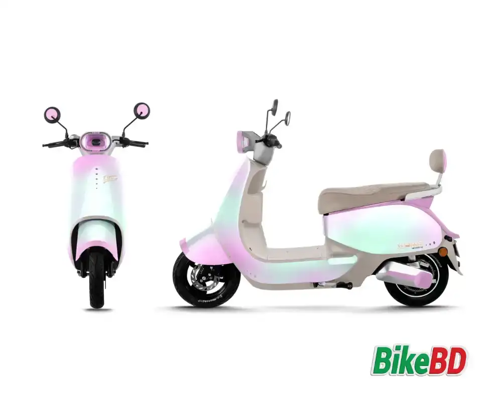 SYNTAX RAYO Lavender Magenta