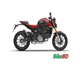Ducati Monster SP