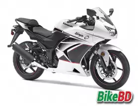 Kawasaki Ninja RR ZX150